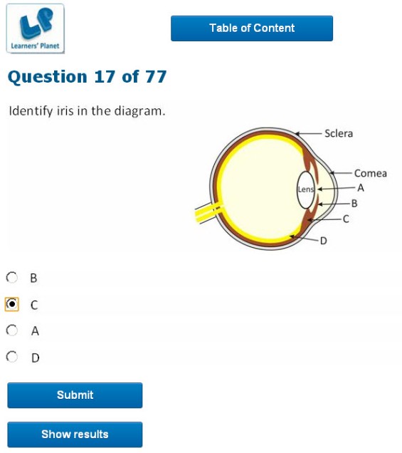 science quizzes for eighth class olympiad students