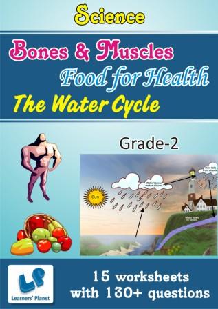 worksheets on Bones & Muscles and Food for Health and The Water Cycle for class 2