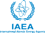 Director - General, International Atomic Energy Agency (IAEA)