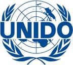 Director - General, UNIDO (United Nations Industrial Development Organization)