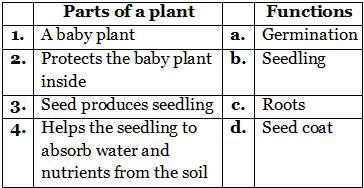 CBSE Science growing plants worksheets for grade 5