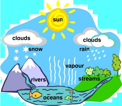 water cycle-grade 3 science