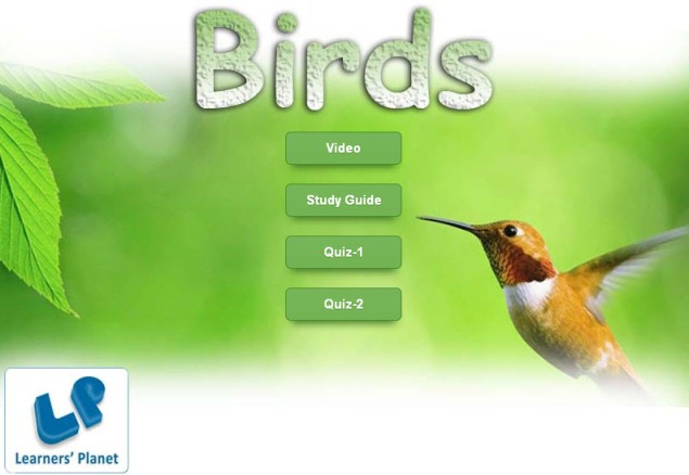 Kindergarten english interactive quizzes on Birds