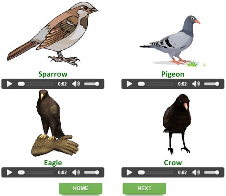 English grammar interactive quizzes on Birds for kids