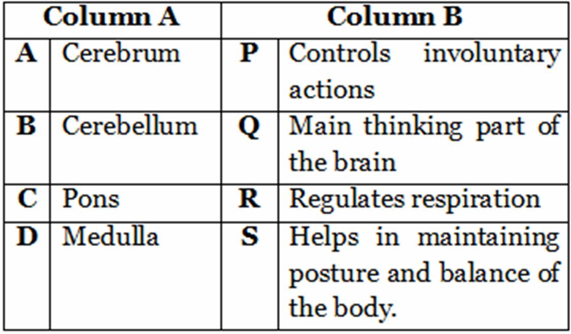 Science class 10 control and coordination question bank